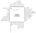Thumbnail for version as of 00:32, 15 February 2013