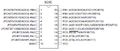 Thumbnail for version as of 00:06, 15 February 2013