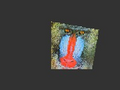 Thumbnail for version as of 19:43, 12 December 2014