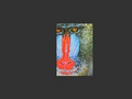 Thumbnail for version as of 20:37, 12 December 2014