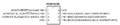 Thumbnail for version as of 23:53, 14 February 2013