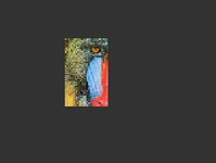 Clip0091.png