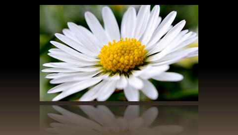 imageviewer2.png