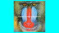 Thumbnail for version as of 18:08, 16 December 2014