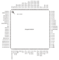 Thumbnail for version as of 01:20, 15 February 2013